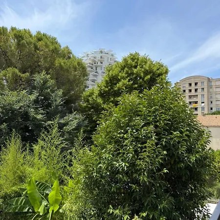 Maison En Avec Piscine Face A L'arbre * Montpellier